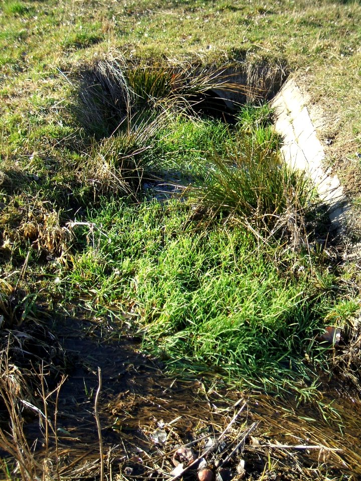 Deutergraben Zulauf Sichler