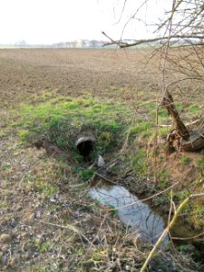 Deutergraben Waldrand Ende Verrohrung
