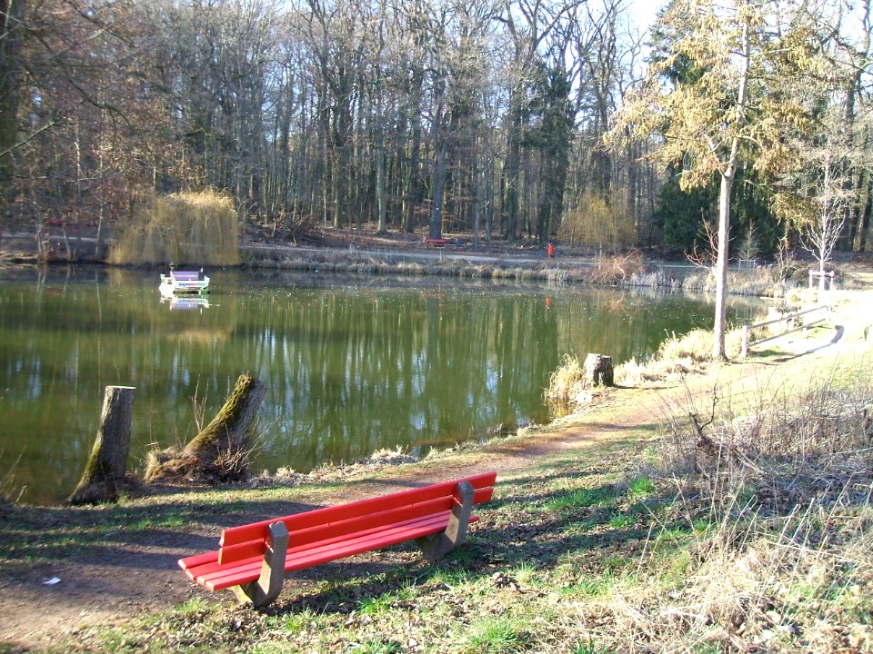 Deutergraben großer Waldteich 2