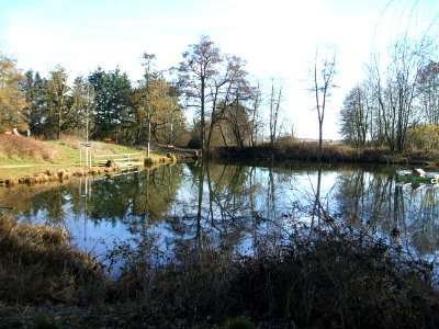 Deutergraben großer Waldteich 6