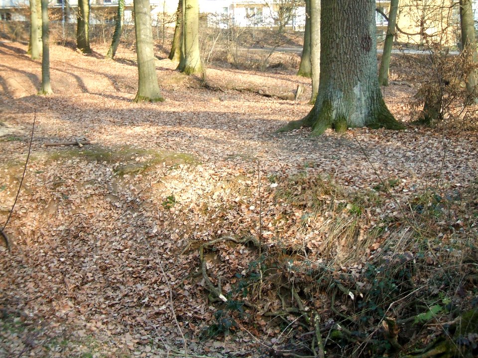 Deutergraben Flutgraben nördlich Waldteiche