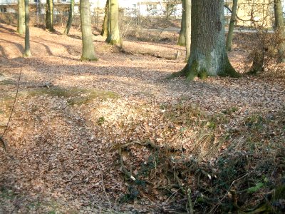 Deutergraben Flutgraben nördlich Waldteiche