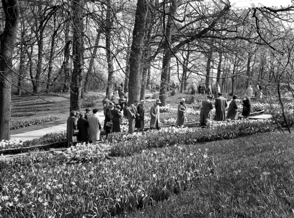 Drukte op Goede Vrijdag op de Keukenhof, Bestanddeelnr 911-1734
