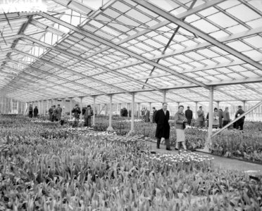 Drukte op Goede Vrijdag op Keukenhof, mensen in de kass, Bestanddeelnr 910-2469