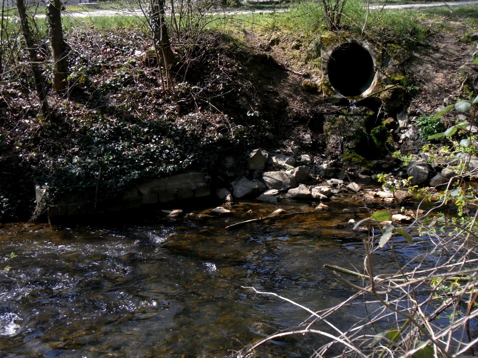 Deutergraben Mündung Usa R0012966