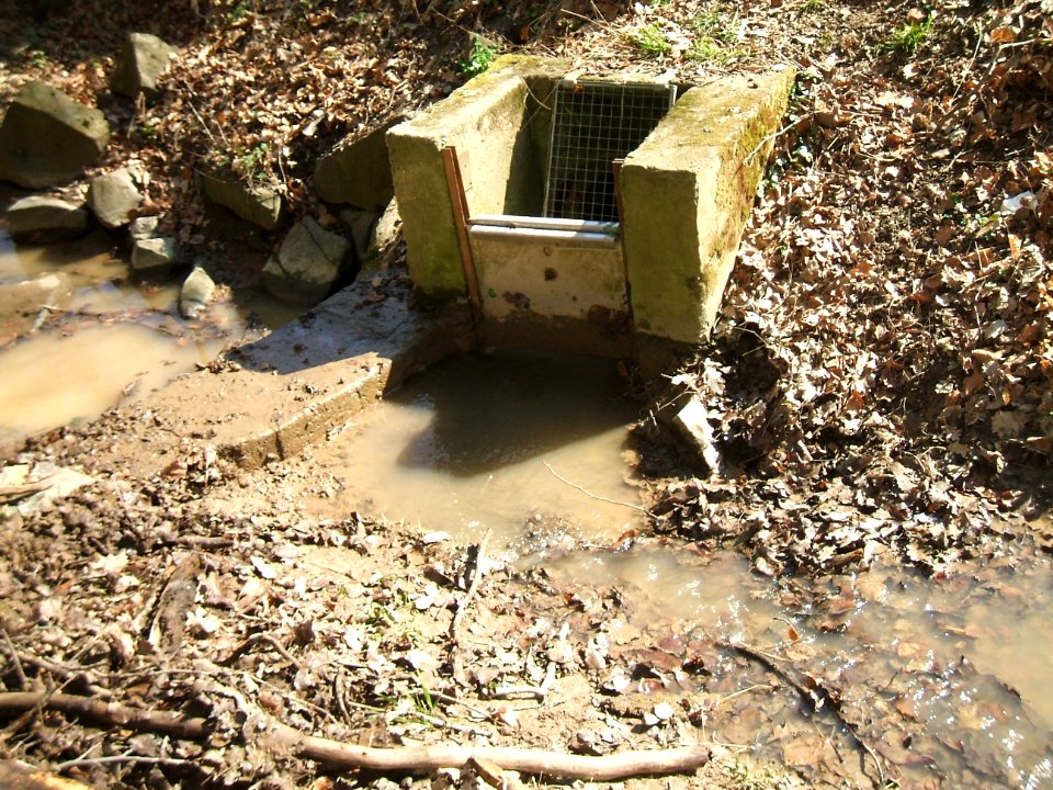 Deutergraben mittlerer Waldteich Schieber 6