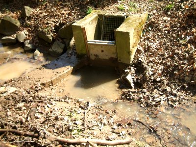Deutergraben mittlerer Waldteich Schieber 6