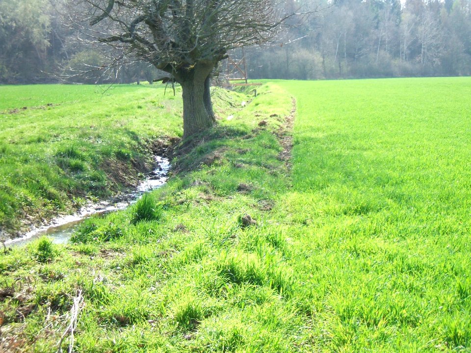Deutergraben von Verrohrung aufwärts zum Waldrand