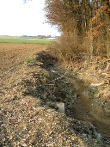 Deutergraben Waldrand Ende Stuhlgraben