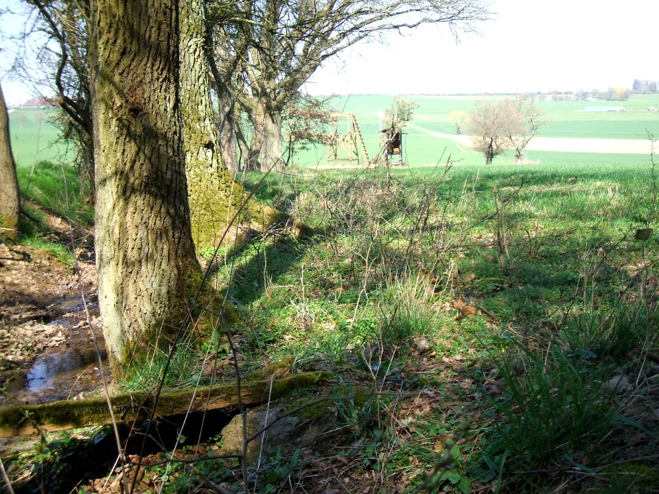 Deutergraben zur Verrohrung