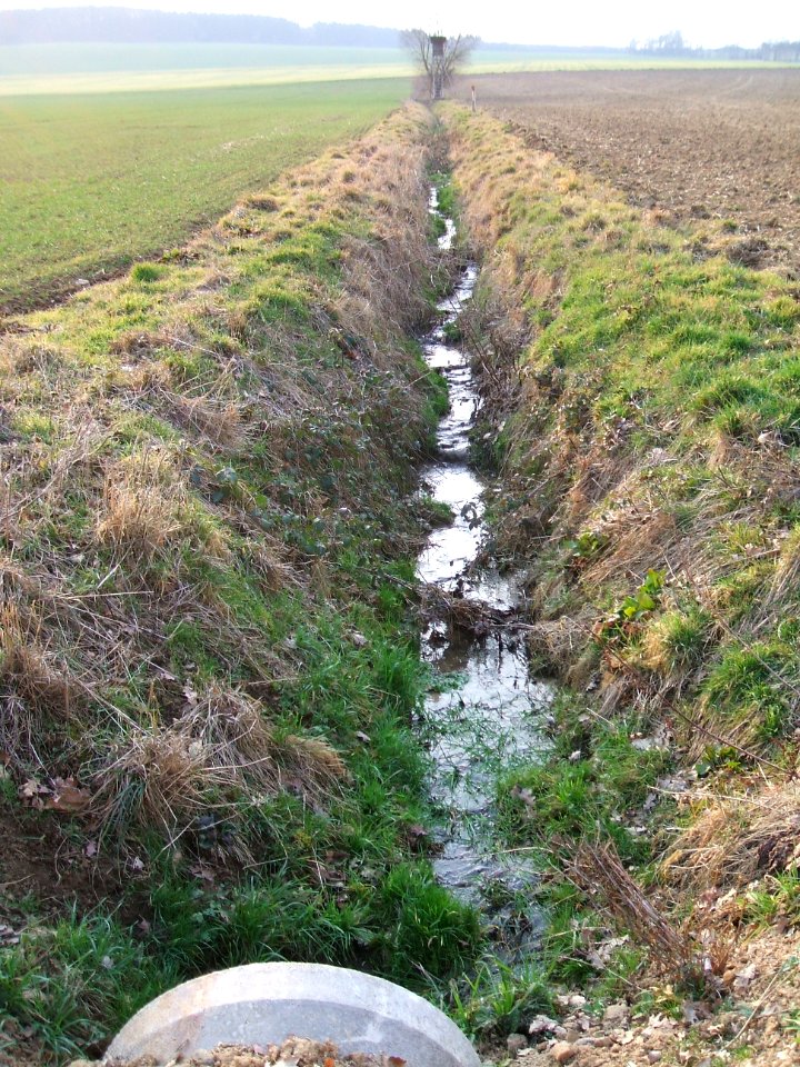 Deutergraben Waldrand von Verrohrung