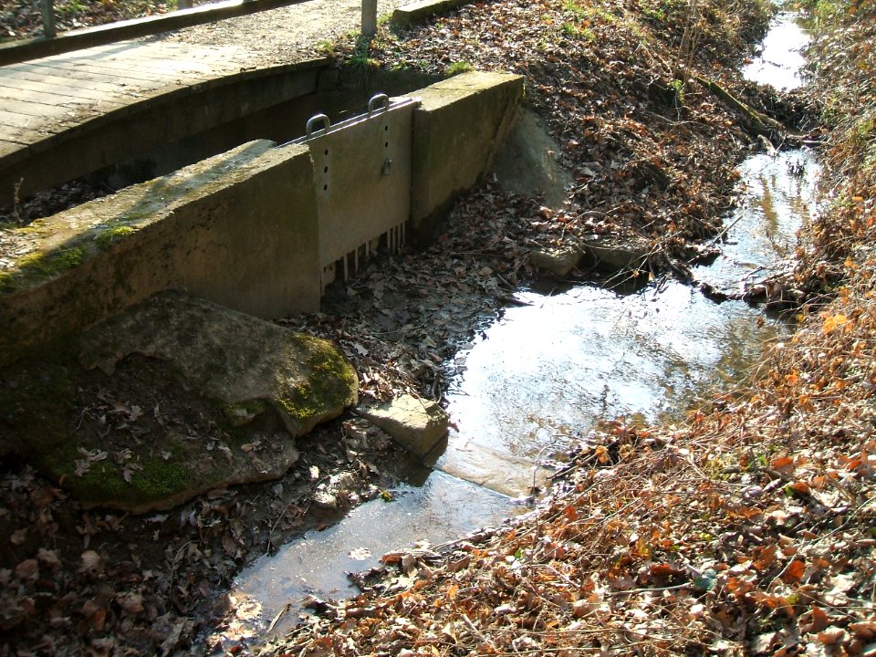 Deutergraben oberster Waldteich Schieber Zulauf 4