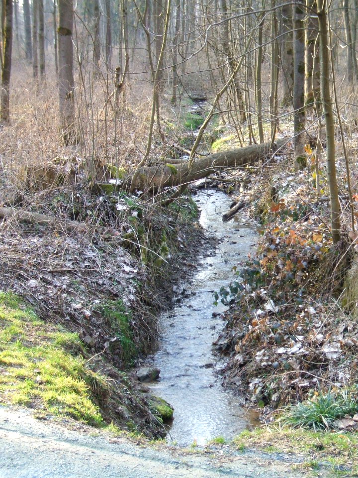 Deutergraben oberhalb Dietersbrücke
