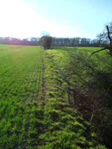 Deutergraben Graben unterhalb Schäferborn