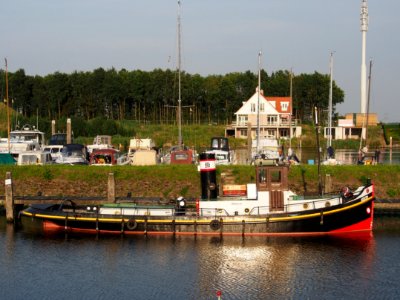 Dianne - ENI 02203256 in de haven van Tholen pic1