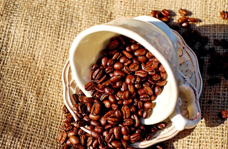 Coffee cup porcelain coffee beans photo