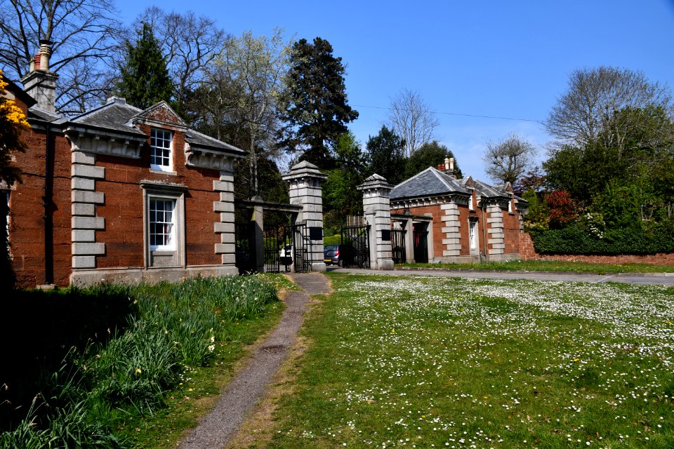 Devington Park 2020-04-11 (1)