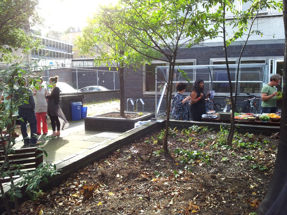 Development House Barbeque 06