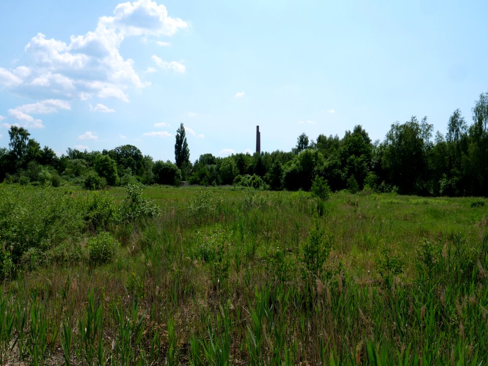 Destructed village Haidemühl 2019-06-05 03