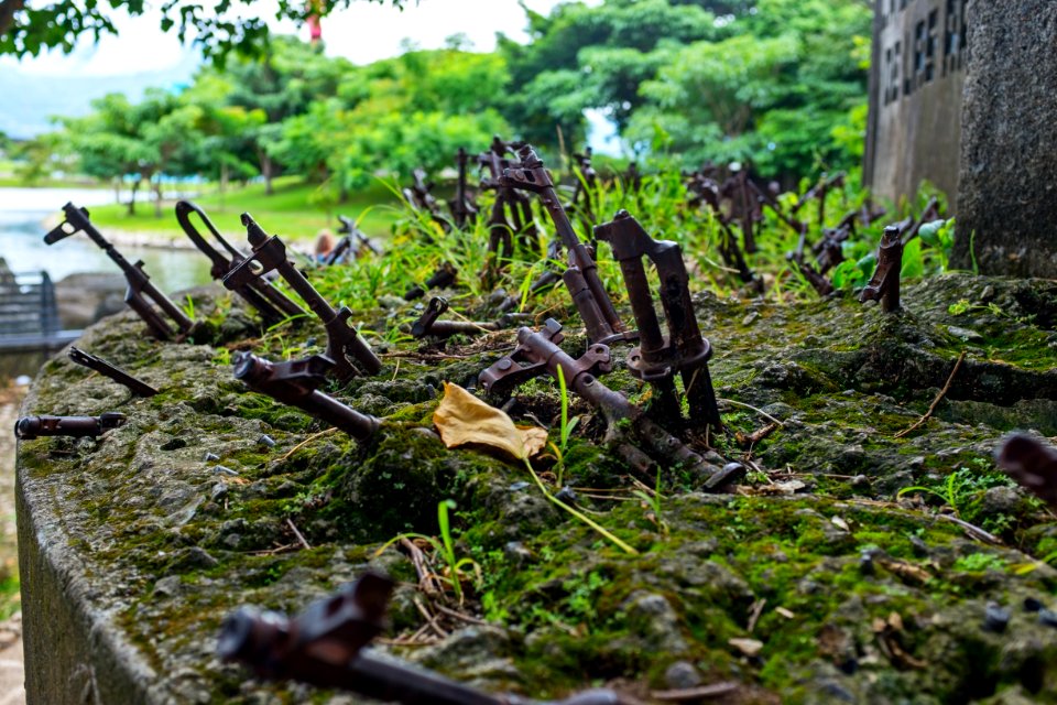 Destruccion de las armas detalle