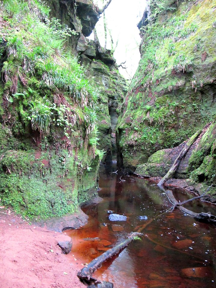 Devil's Pulpit in Finnich Glen - 2018 07