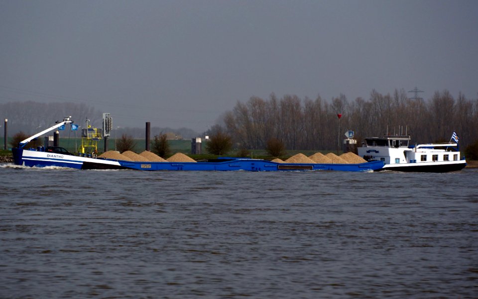 Diantho - ENI 02315268, Waal rivier, The Netherlands