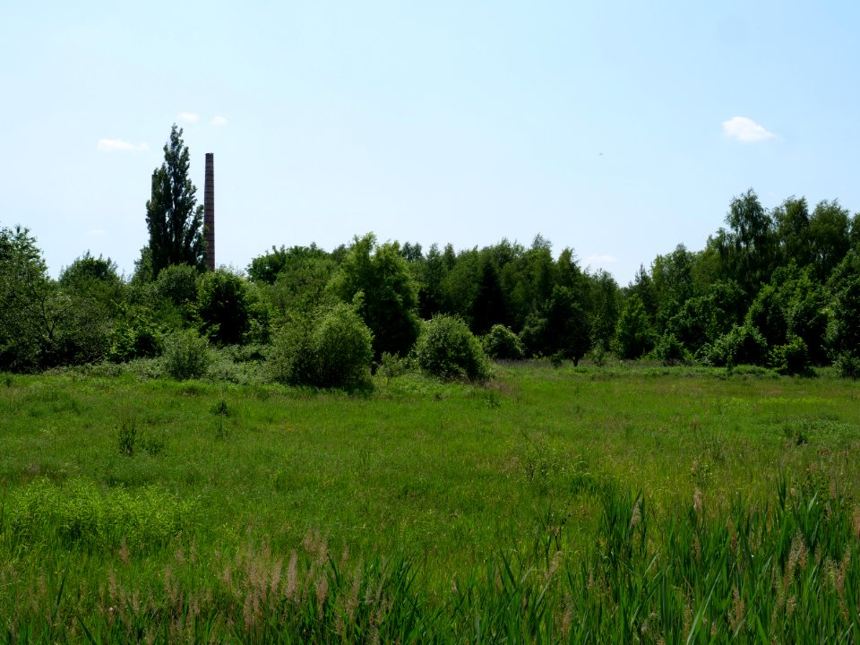 Destructed village Haidemühl 2019-06-05 05
