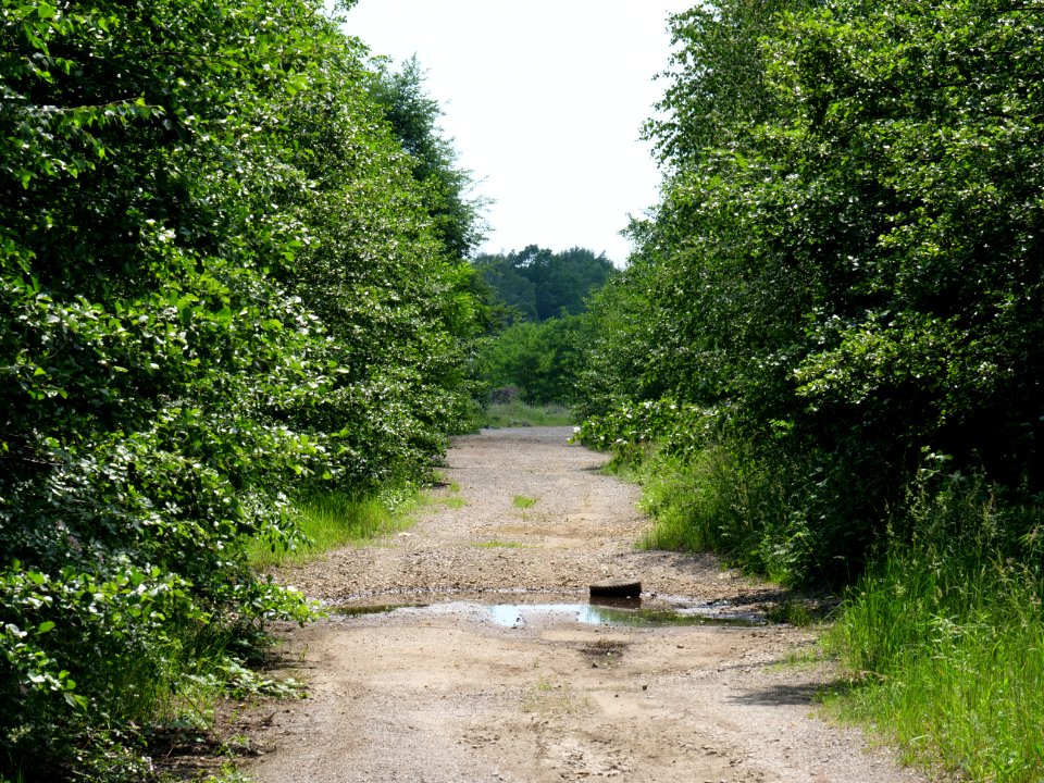 Destructed village Haidemühl 2019-06-05 18