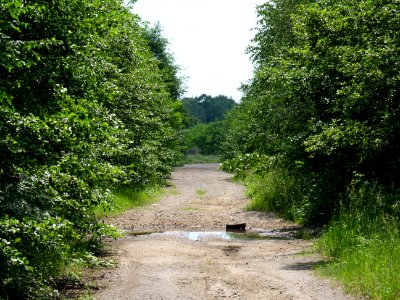 Destructed village Haidemühl 2019-06-05 18