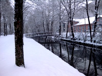 Detmold - Friedrichstaler Kanal - 2014-01-26 (2)
