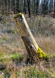 Detmold - Lönspfad am Bielstein