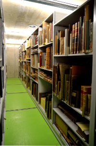 Detmold - Lippische Landesbibliothek, Magazin 2 (5)