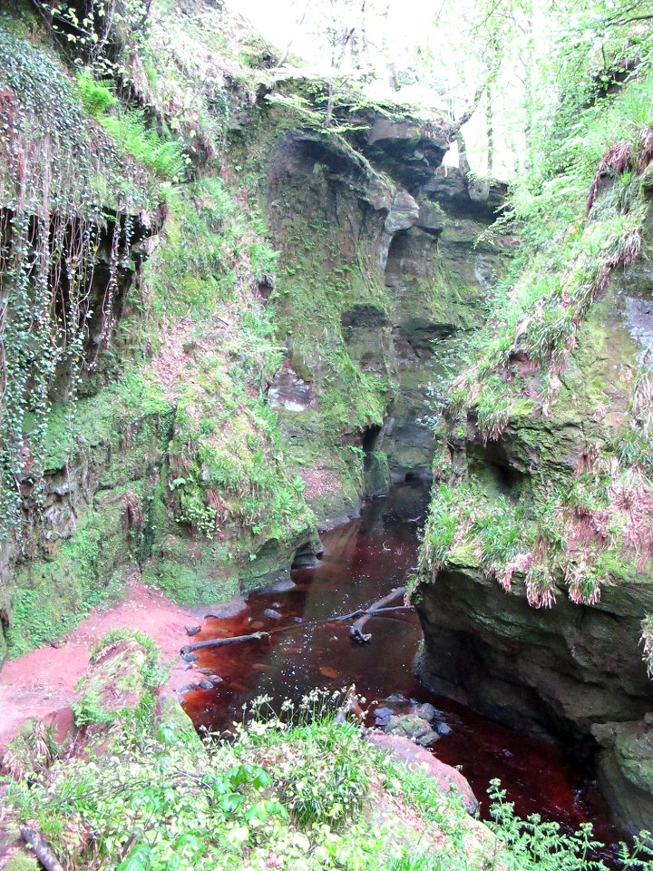 Devil's Pulpit in Finnich Glen - 2018 05