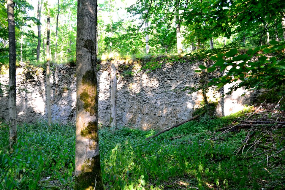 Detmold - Mordkuhle Hiddesen (14)