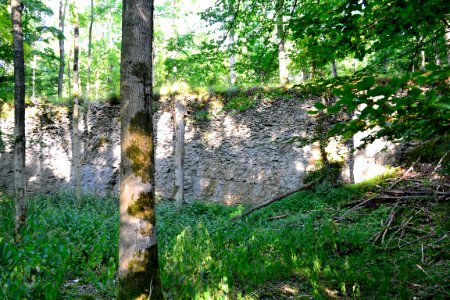 Detmold - Mordkuhle Hiddesen (14)