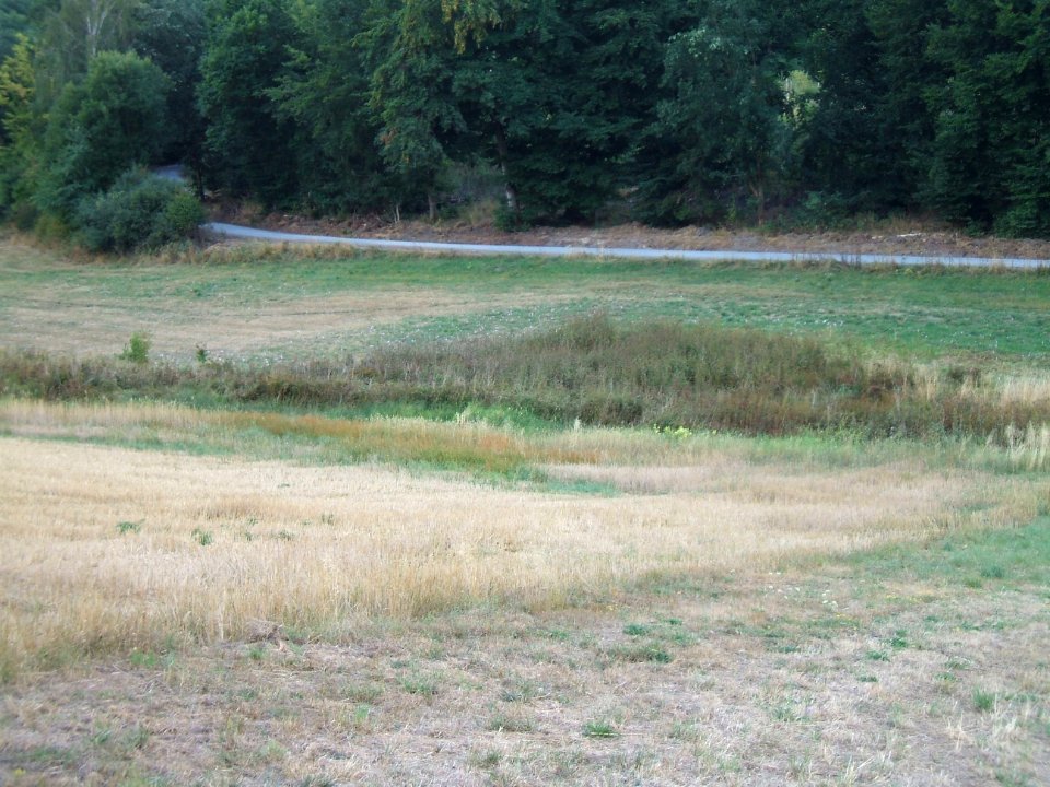 Detzelbach feuchter Fleck