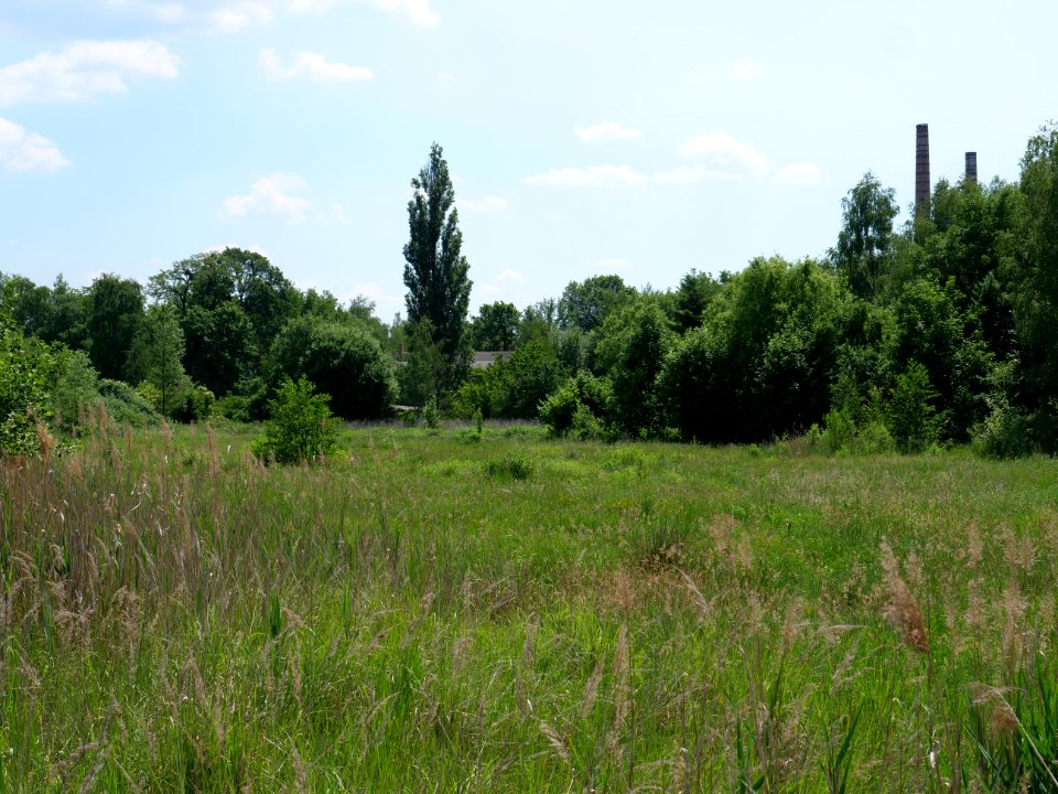 Destructed village Haidemühl 2019-06-05 02