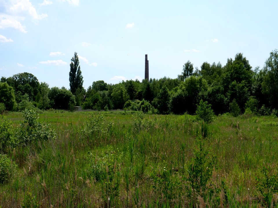 Destructed village Haidemühl 2019-06-05 04