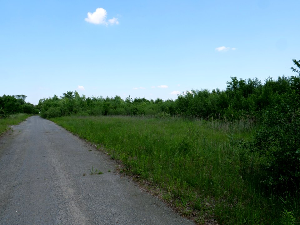 Destructed village Haidemühl 2019-06-05 11