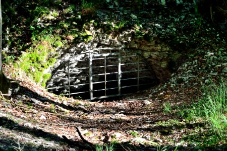 Detmold - Mordkuhle Hiddesen (1)