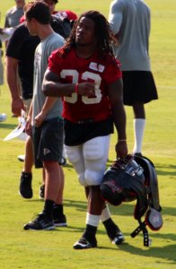 Devonta Freeman 2014