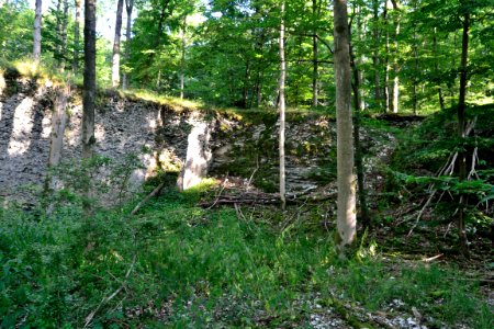 Detmold - Mordkuhle Hiddesen (12)