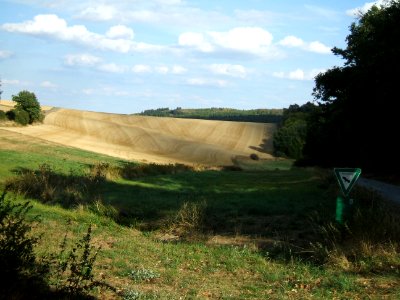 Detzelbach Wiese Oberlauf