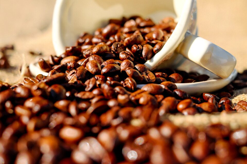 Porcelain coffee beans benefit from
