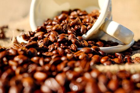 Porcelain coffee beans benefit from photo