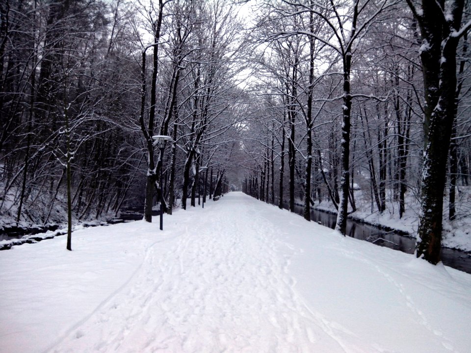 Detmold - Friedrichstaler Kanal - 2014-01-26 (1)