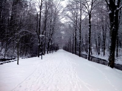 Detmold - Friedrichstaler Kanal - 2014-01-26 (1)