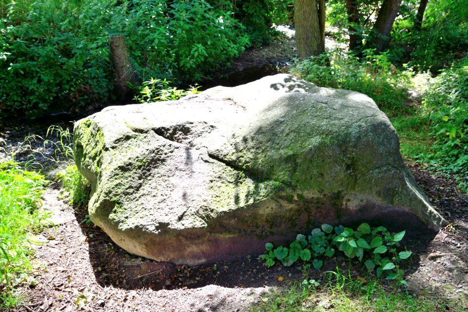 Detmold - Jerxen-Orbke - Eselstein (1)
