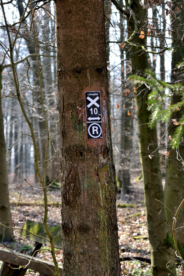 Detmold - Lönspfad und Residenzweg am Bielstein (2)