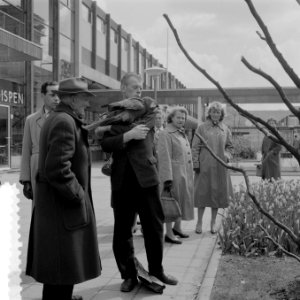 Dieren uit Blijdorp op de Lijnbaan te Rotterdam t.g.v. 100 jarig jubileum van Bl, Bestanddeelnr 908-5693